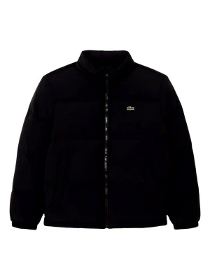 Obrázek produktu LACOSTE Zimní bunda černá