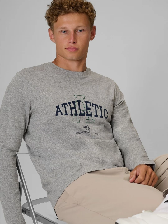 Obrázek produktu 4F Longsleeve regular s potiskem pánský - šedý