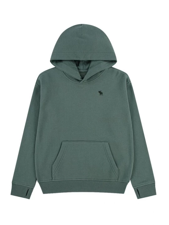 Obrázek produktu Abercrombie & Fitch Mikina 'ESSENTIALS FLEECE' nefritová