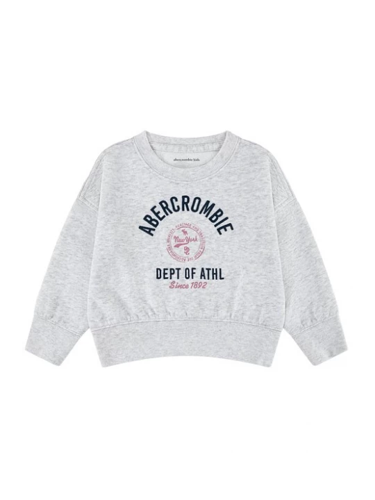 Obrázek produktu Abercrombie & Fitch Mikina světle šedá / melounová / černá