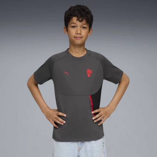 Obrázek produktu AC Milan PUMATECH Pocket Tee Youth, Clothing, Shadow Gray/Red