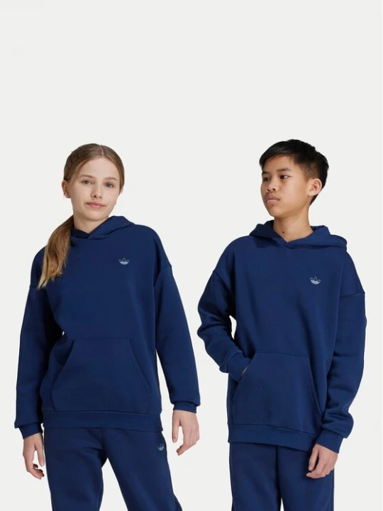 Obrázek produktu adidas Mikina Graphic IX6843 Tmavomodrá Relaxed Fit