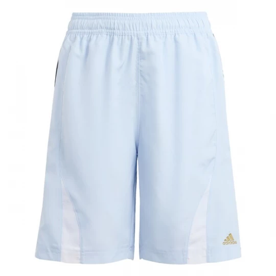 Obrázek produktu ADIDAS ORIGINALS Kalhoty 'Teamgeist' světlemodrá / zlatá / bílá