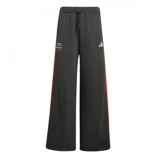 Obrázek produktu ADIDAS PERFORMANCE Sportovní kalhoty 'Audi Formula One Team DNA' tmavě šedá / humrová / bílá
