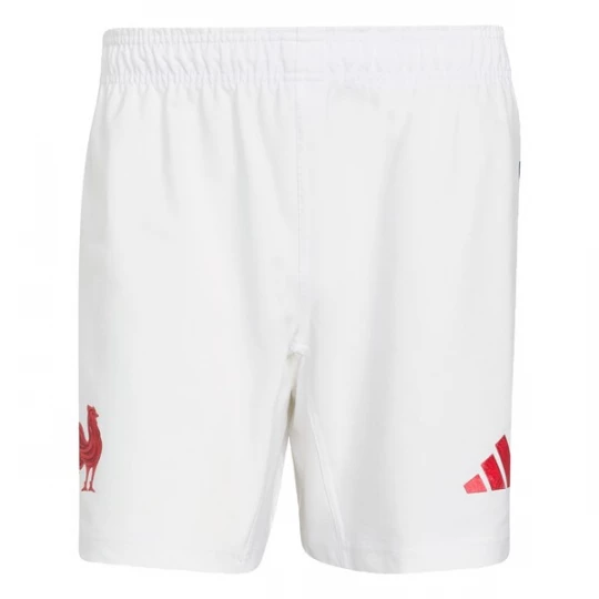 Obrázek produktu ADIDAS PERFORMANCE Sportovní kalhoty 'Frankreich' námořnická modř / ohnivá červená / bílá