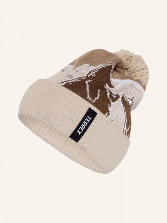 Obrázek produktu Adidas Terrex Čepice Xploric světle šedá / béžová / černošedá