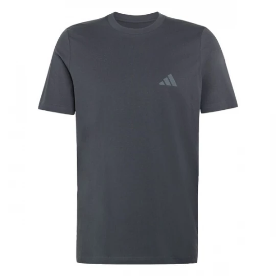 Obrázek produktu ADIDAS TERREX Funkční tričko 'Mountain' šedá / antracitová
