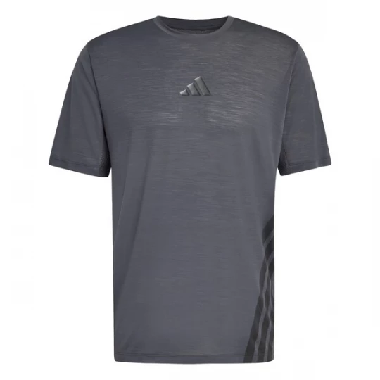 Obrázek produktu ADIDAS TERREX Funkční tričko 'Xperior' tmavě šedá / černá