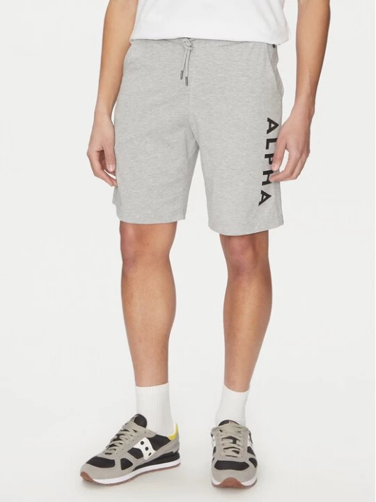 Obrázek produktu Alpha Industries Sportovní kraťasy 116366 Šedá Regular Fit