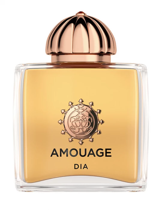 Obrázek produktu Amouage Dia Woman Eau de Parfum 100 ml
