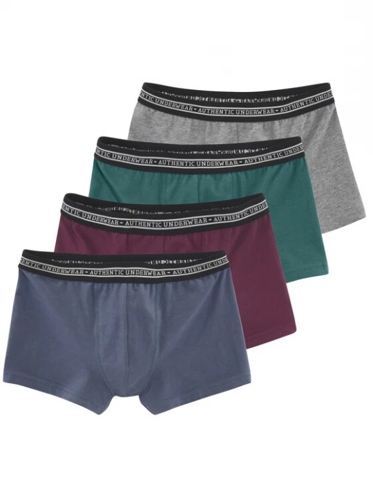Obrázek produktu Authentic Le Jogger Spodní prádlo modrá / šedá / tmavě zelená / tmavě červená