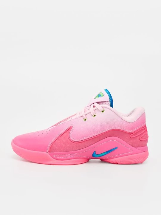Obrázek produktu Basketbalové boty Nike Performance
