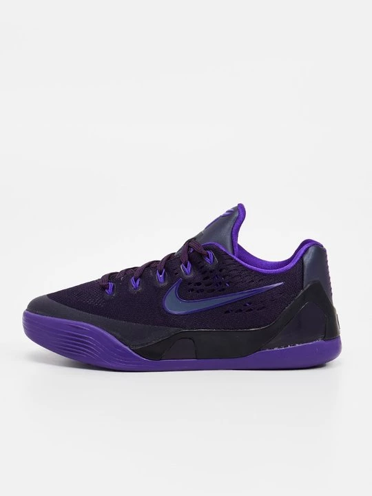 Obrázek produktu Basketbalové boty Nike fialová