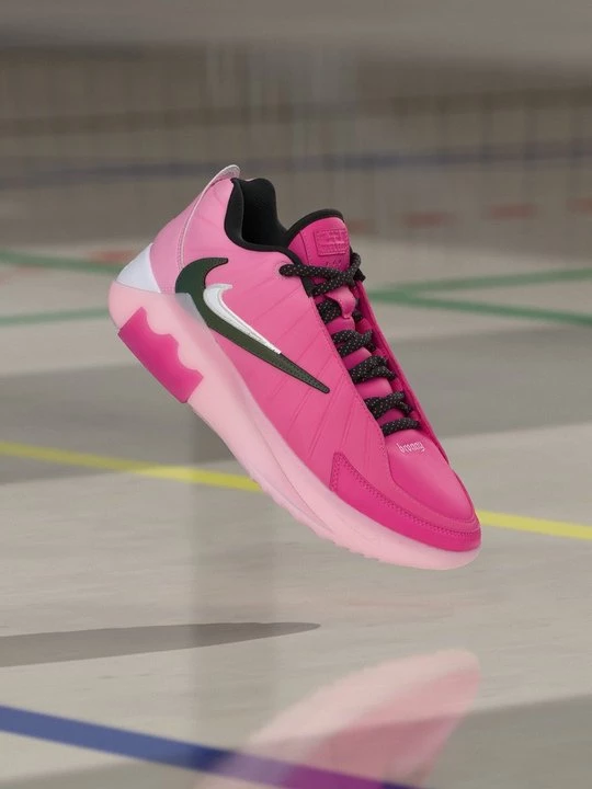 Obrázek produktu Basketbalové boty Nike růžová