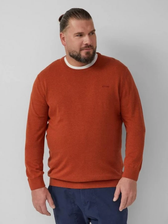 Obrázek produktu Bavlněný pulovr s vyšitým logem s.Oliver červená