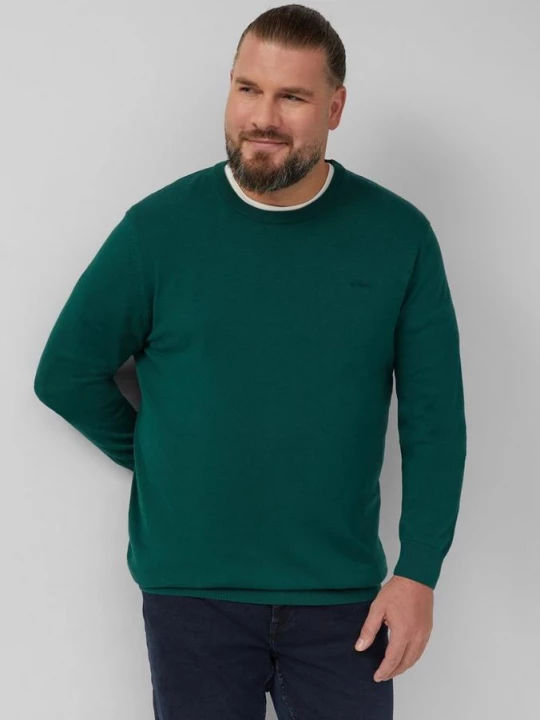 Obrázek produktu Bavlněný pulovr s vyšitým logem s.Oliver zelená