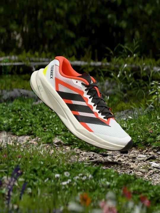 Obrázek produktu Běžecké boty do terénu Adidas Terrex černá