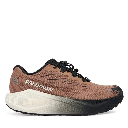 Obrázek produktu Běžecké boty Salomon Aero Blaze 4 L45400500 Hnědá