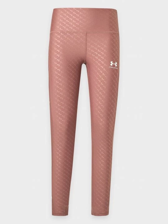 Obrázek produktu Běžecké legíny Under Armour hnědá
