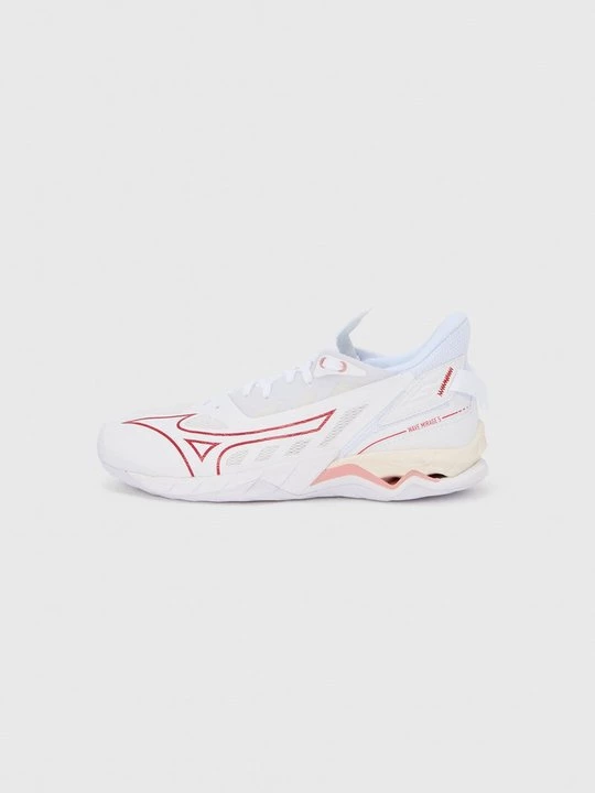 Obrázek produktu Boty na házenou Mizuno