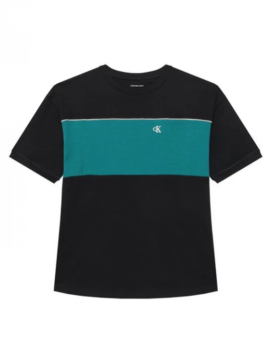Obrázek produktu Calvin Klein Jeans T-Shirt LVCKTJA41B Černá Regular Fit