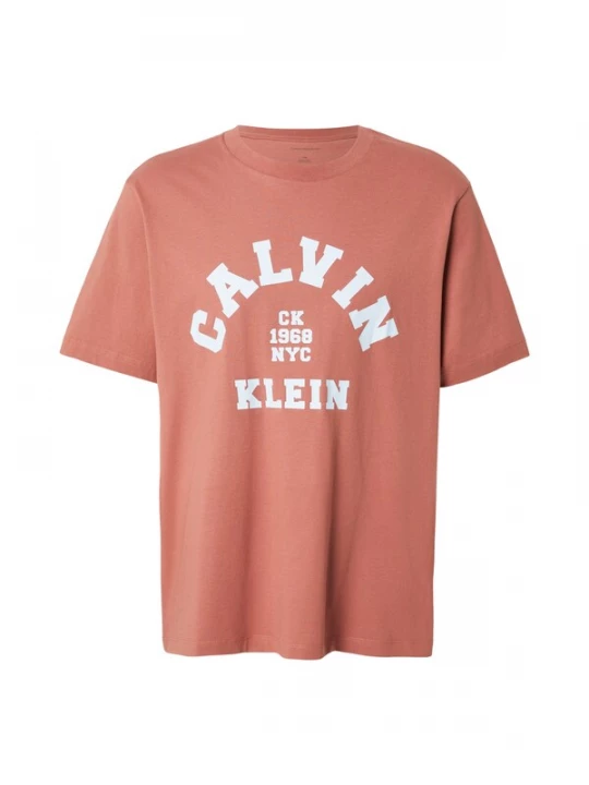 Obrázek produktu Calvin Klein Jeans Tričko '20S COLLEGE' pastelová modrá / lososová