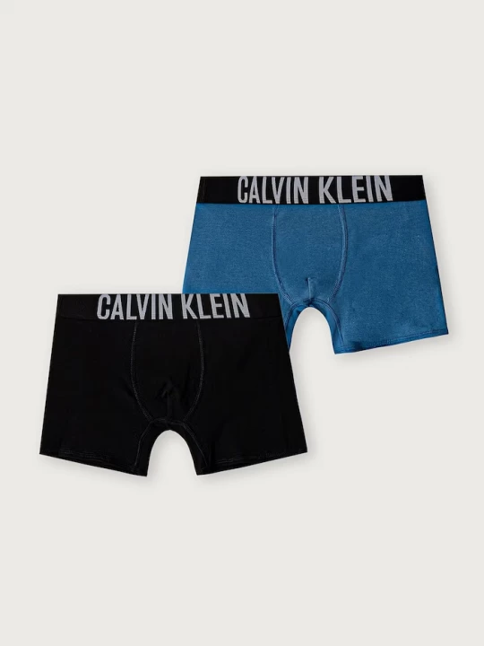 Obrázek produktu Calvin Klein Underwear boxerky dětské s bavlnou 2-pack modrá