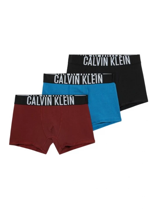 Obrázek produktu Calvin Klein Underwear Spodní prádlo azurová / bordó / černá / bílá