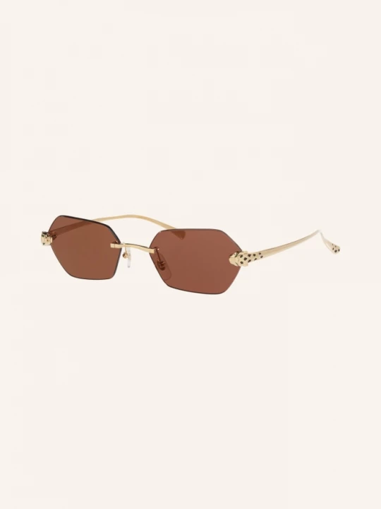 Obrázek produktu Cartier Sluneční Brýle 6L001922 zlatá/ tmavohnědá