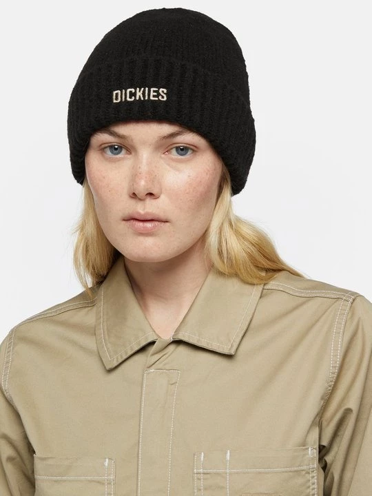Obrázek produktu Čepice Dickies černá