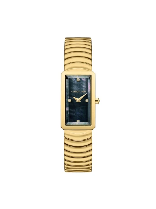Obrázek produktu CERRUTI 1881 Analogové hodinky 'Watch VALLUCCIOLE' zlatá