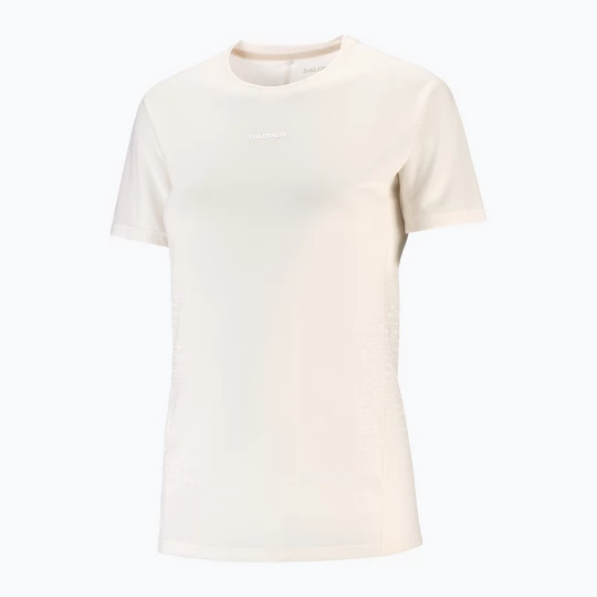 Obrázek produktu Dámské běžecké tričko Salomon Sense Aero GFX Tee SS whisper white / raind day / bright white