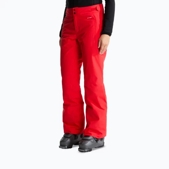 Obrázek produktu Dámské lyžařské kalhoty The North Face Descendit Regular elevation red