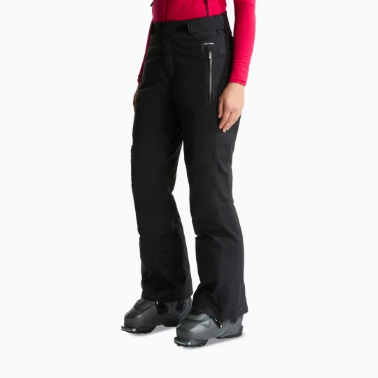 Obrázek produktu Dámské lyžařské kalhoty The North Face Lenado tnf black