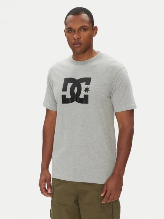 Obrázek produktu DC Shoes T-Shirt ADYZT05373 Šedá Regular Fit