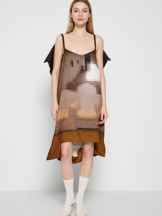 Obrázek produktu Denní šaty MM6 Maison Margiela hnědá