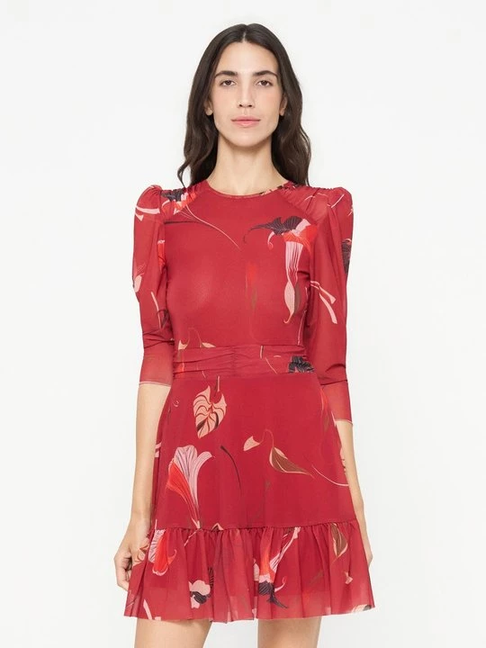 Obrázek produktu Denní šaty Ted Baker červená