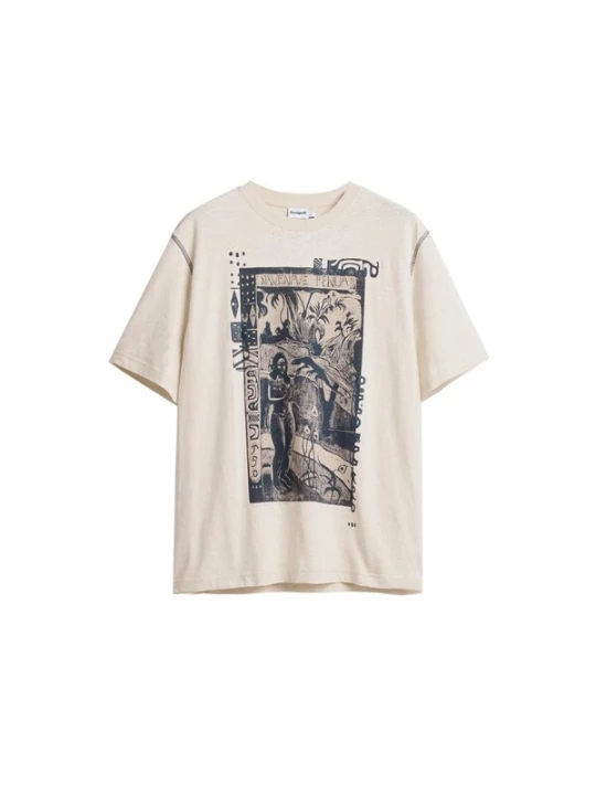Obrázek produktu Desigual Tričko šedá / antracitová / offwhite