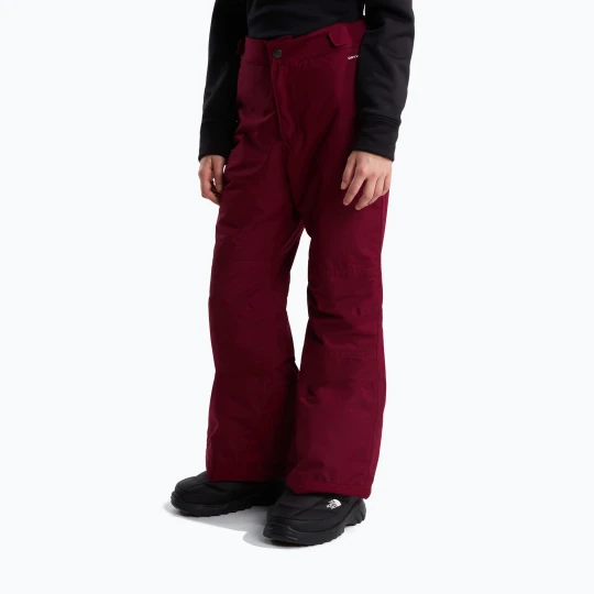 Obrázek produktu Dětské lyžařské kalhoty The North Face Freedom Insulated burgundy crush vínová