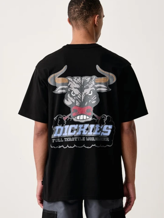 Obrázek produktu Dickies tričko pánské bavlněné černá