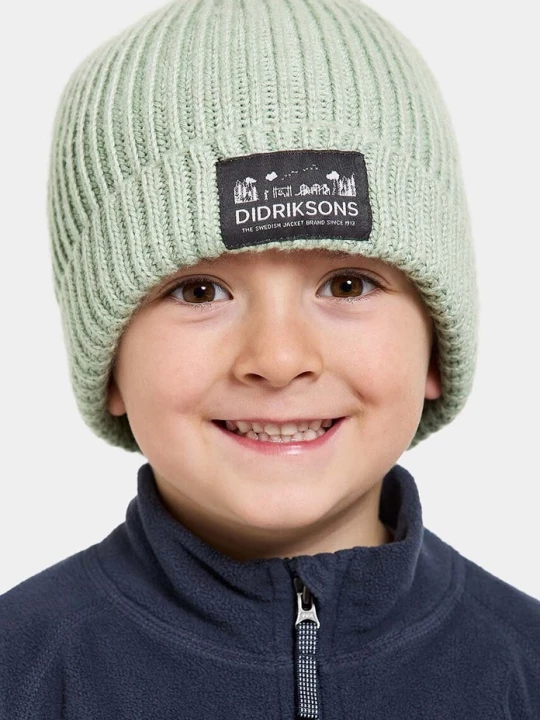Obrázek produktu Didriksons Dětská čepice Didriksons BUS KDS BEANIE zelená