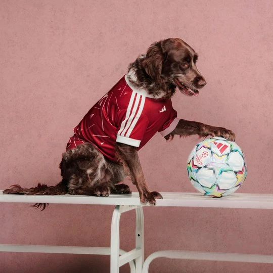 Obrázek produktu Dres pro domácího mazlíčka Liverpool FC Adidas Active Maroon
