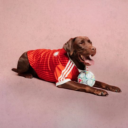 Obrázek produktu Dres pro mazlíčky FC Bayern Muenchen Adidas
