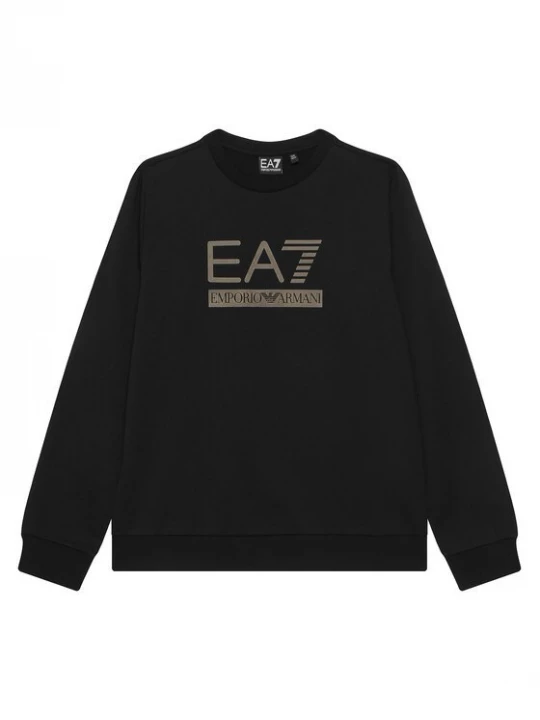 Obrázek produktu EA7 Emporio Armani Mikina 7B000352 AF13512 UC001 Černá Regular Fit