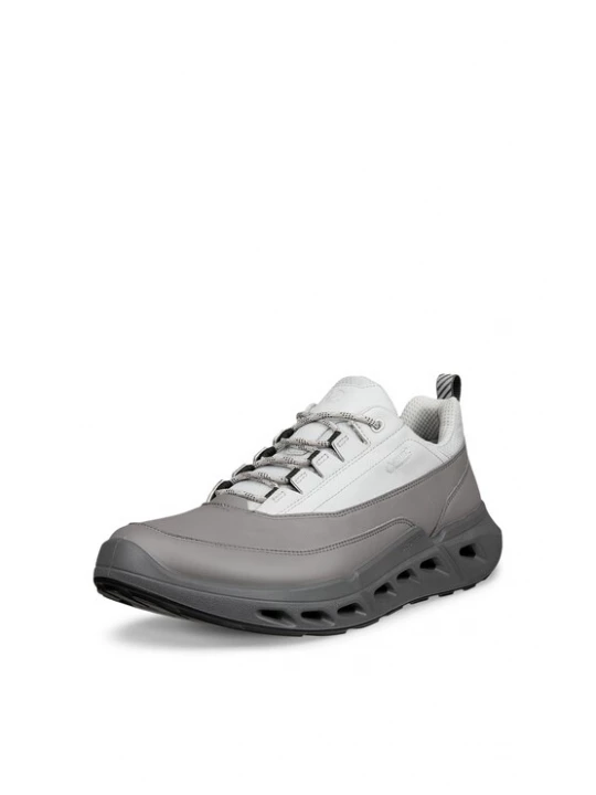 Obrázek produktu ECCO Tenisky 'Biom 720' šedá / offwhite