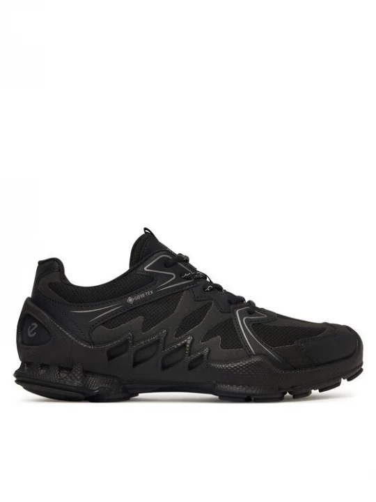 Obrázek produktu ECCO Trekingová obuv Biom Aex GORE-TEX 80288351094 Černá