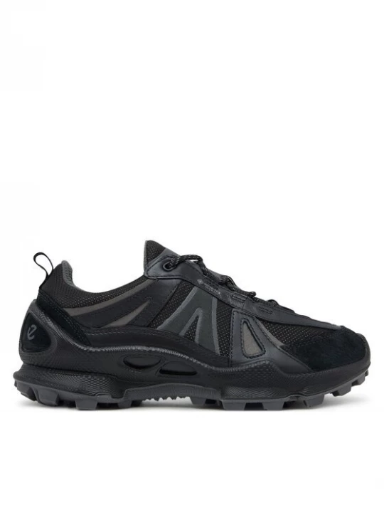 Obrázek produktu ECCO Trekingová obuv Biom C-Trail GORE-TEX 803463 51094 Černá