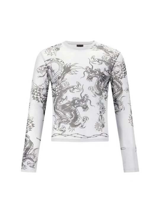 Obrázek produktu Ed Hardy Tričko 'Schlange und Drache' světle šedá / černá