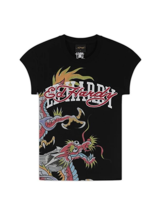Obrázek produktu Ed Hardy Tričko 'Varsity Dragon' šedá / kiwi / malinová / černá