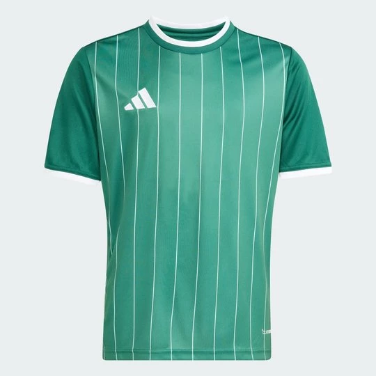 Obrázek produktu Entrada26 Graphic Jersey Kids Adidas zelená